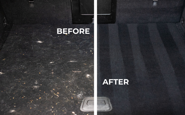 How to Remove Pet Hair from Your Car (The Easy Way)